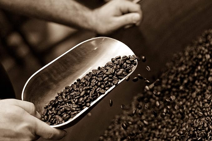 Caffe D'arte Meaning of Life Whole Bean Coffee – Medium Dark Roast, Rich & Well-Balanced Flavor with Great Aroma, Crafted for Drip Brewing, Fresh Roasted in Seattle, 1 Pound (Pack of 2)