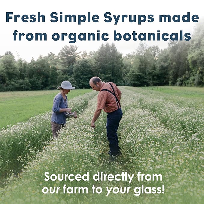 Bluestem Botanicals Organic Ginger Simple Syrup, 8 oz, Cocktail and Mocktail Mixer for Drinks, Non-Alcoholic