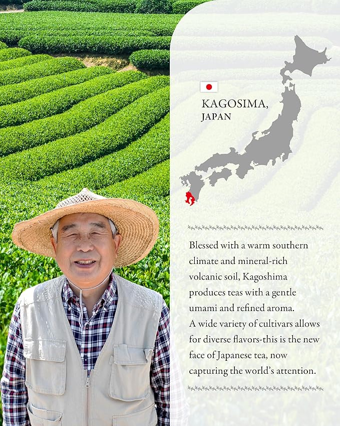 SUMIRE Hojicha Powder Rich Aroma from Kagoshima, Japan - Roasted Flavor, Caffeine-Light, Fine Texture, Easy Mix (Hojicha Powder)